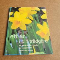 Ett &aring;r i din tr&auml;dg&aring;rd