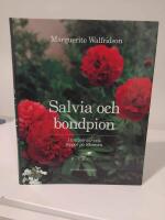 Salvia och bondpion : i tr&auml;dg&aring;rdar och t&auml;ppor p&aring; Skansen
