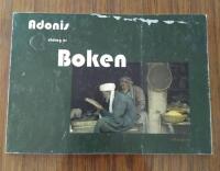 Utdrag ur Boken, platsens g&aring;rdag nu : en handskrift som tillskrivs al-Mutanabbi