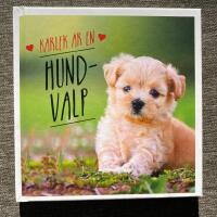 K&auml;rlek &auml;r en hundvalp