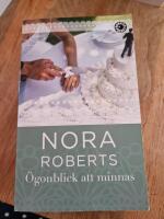 &Ouml;gonblick att minnas