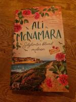 Solglimtar bland molnen