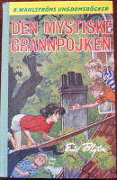 Den Mystiske Grannpojken
