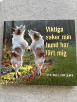 Viktiga saker min hund har l&auml;rt mig