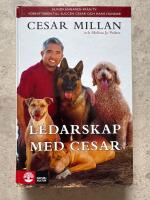 Ledarskap med Cesar