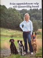 Från uppmärksam valp till tjänstvillig hund