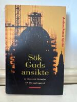 S&ouml;k Guds ansikte - en vision om f&ouml;rnyelse och &aring;teruppbyggnad