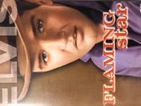 Flaming Star -Elvis Presley