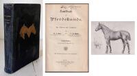Handbuck der Pferdekunde. F&uuml;r Offiziere und Landwirte. Sechste Auflage neubearbeitet von H. M&ouml;ller. Mit 250 Textabbildungen und einer Tafel.