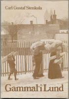 Gammal i Lund. Utvecklingstendenser inom den kommunala, kyrkliga och enskilda &aring;ldringsv&auml;rden i Lund 1900-1918.