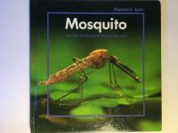 Mosquito