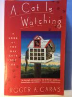A cat is watching - A look at the way cats see us