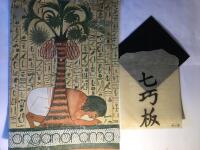 Organorama (Volume 11) number 2