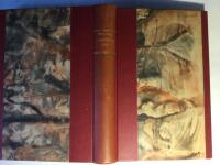 I spindelns n&auml;t