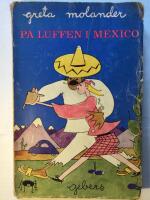 P&aring; luffen i Mexico