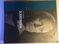 The cinema of Scandinavia.