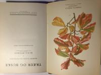 Traeer og Buske. Diagnoser til dansk Frilands-Traevaekst.