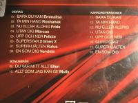 Junior eurovision song contest 2007. Svenska finalen.