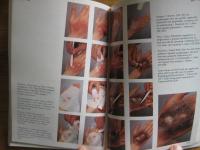 "Make-up voor professional en hobby" -. Sminkning f&ouml;r proffs eller som hobby