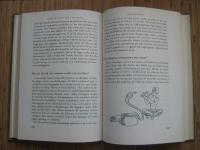 Skrock och Fakta om Djur