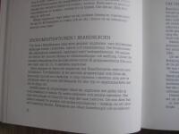 Br&aring;kig, ung och galen : en bok om Brandbergens ungdomsgrupp - BUG : en etnologisk dokumentation av en social experimentverksamhet och ett f&ouml;rs&ouml;k till utv&auml;rdering = [Rough, young and crazy] : [a book about Brandbergen's youth group]