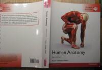 Human anatomy  