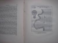 BOEROSIA af Nils Hufwedsson Dahl och BOR&Aring;SIADE af Olov Rudbeck