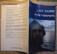Se dig i V&aring;gspegeln - 13 visor
