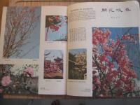 Sin Chung Hwa Pictorial / Xin Zhonghua Pictorial No. 100 Commemoration Issue Minnesnummer