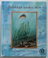 Bubblan under isen