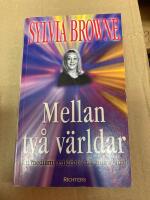 Mellan tv&aring; v&auml;rldar Ett mediums guidebok till andra sidan