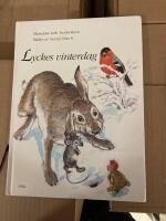 Lyckes vinterdag