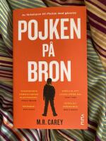 Pojken p&aring; bron