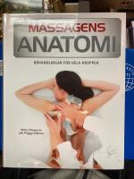 Massagens anatomi