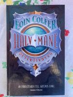 Halvm&aring;ne detektivbyr&aring;