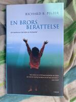 En brors ber&auml;ttelse : att &ouml;verleva en barndom av misshandel