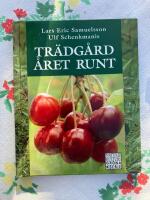 Tr&auml;dg&aring;rd &aring;ret runt