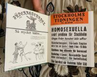 Sympatiens hemlighetsfulla makt - Stockholms homosexuella 1860-1960