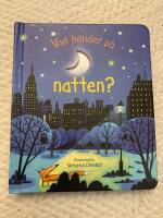 Vad h&auml;nder p&aring; natten?