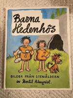 Barna Hedenh&ouml;s Bilder fr&aring;n sten&aring;ldern