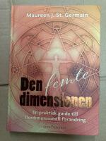 Den femte dimensionen : en praktisk guide till flerdimensionell f&ouml;r&auml;ndring