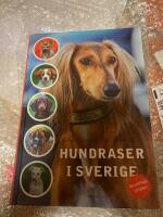 Hundraser i Sverige