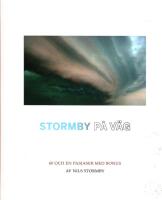 Stormby p&aring; v&auml;g : 60 och en pajaser med bonus