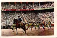 Toros : visi&oacute;n gr&aacute;fica de la fiesta nacional espanola / The Bull-Fight : Graphic Vision of the Spanish National Feast