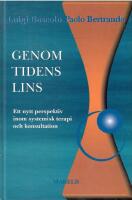 Genom tidens lins : ett nytt perspektiv inom systemisk terapi och konsultation