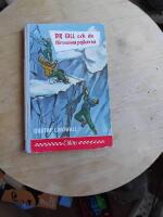 Dr Gill och de f&ouml;rsvunna pojkarna