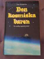 Den kosmiska baren :  en andlig uppt&auml;cktsf&auml;rd