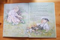 Lisi och kattungarna