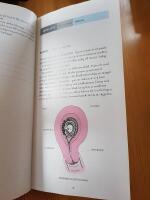 Gravid vecka för vecka