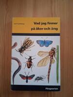 Vad jag finner p&aring; &aring;ker och &auml;ng